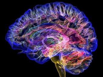 高中生喷浆大脑植入物有助于严重头部损伤恢复